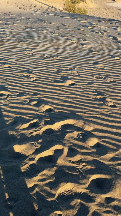 Mesquite Flat Dunes - Parks Near Me