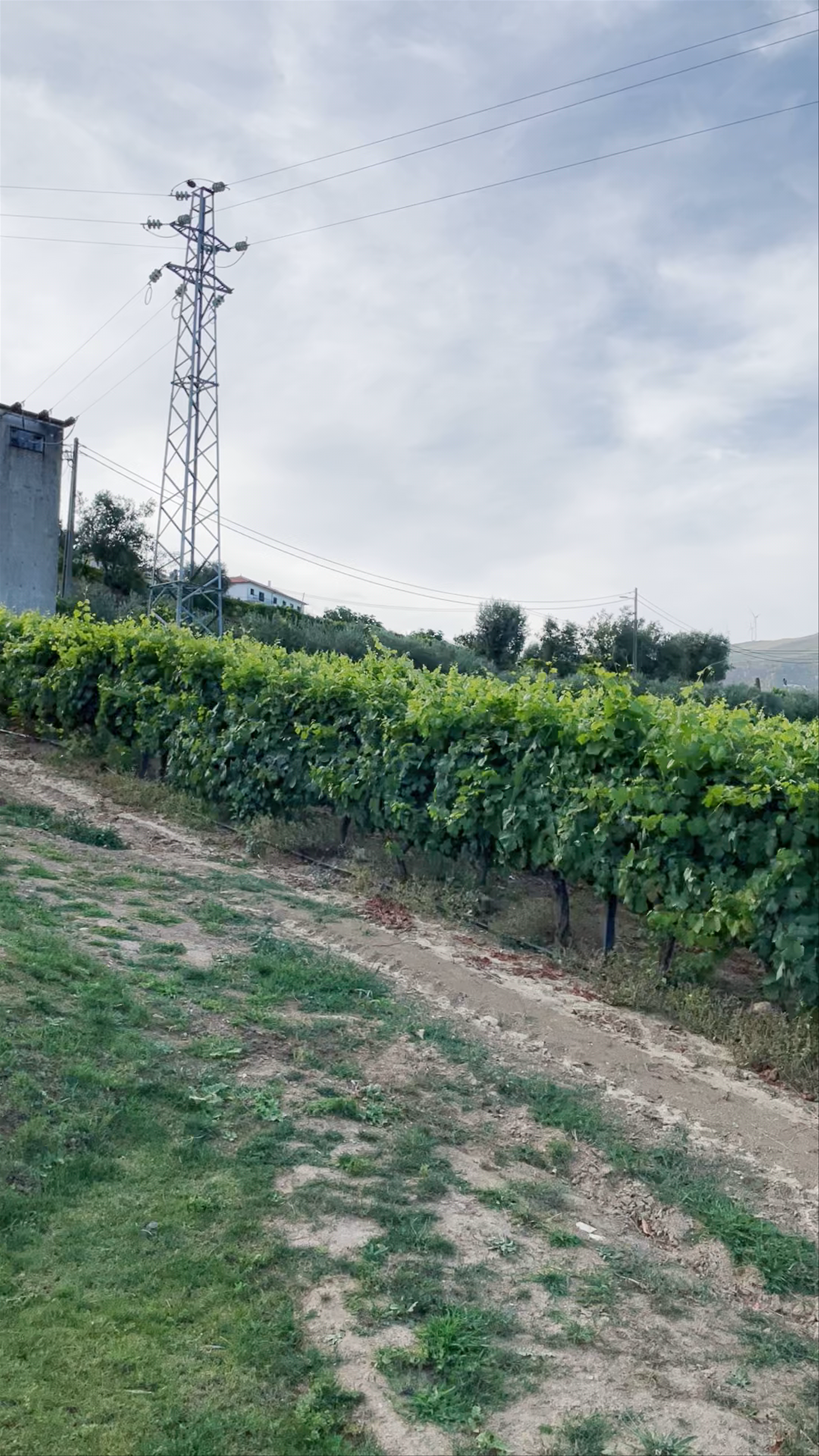 44House – Quinta do Casal