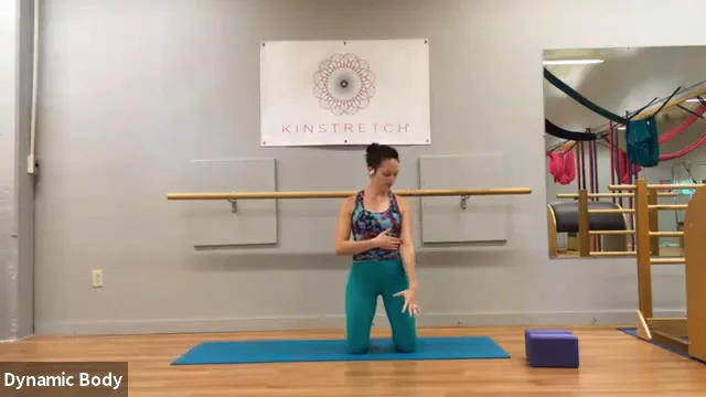 Intro to Kinstretch® & Full Body Joint Mobility Routine (CARs)