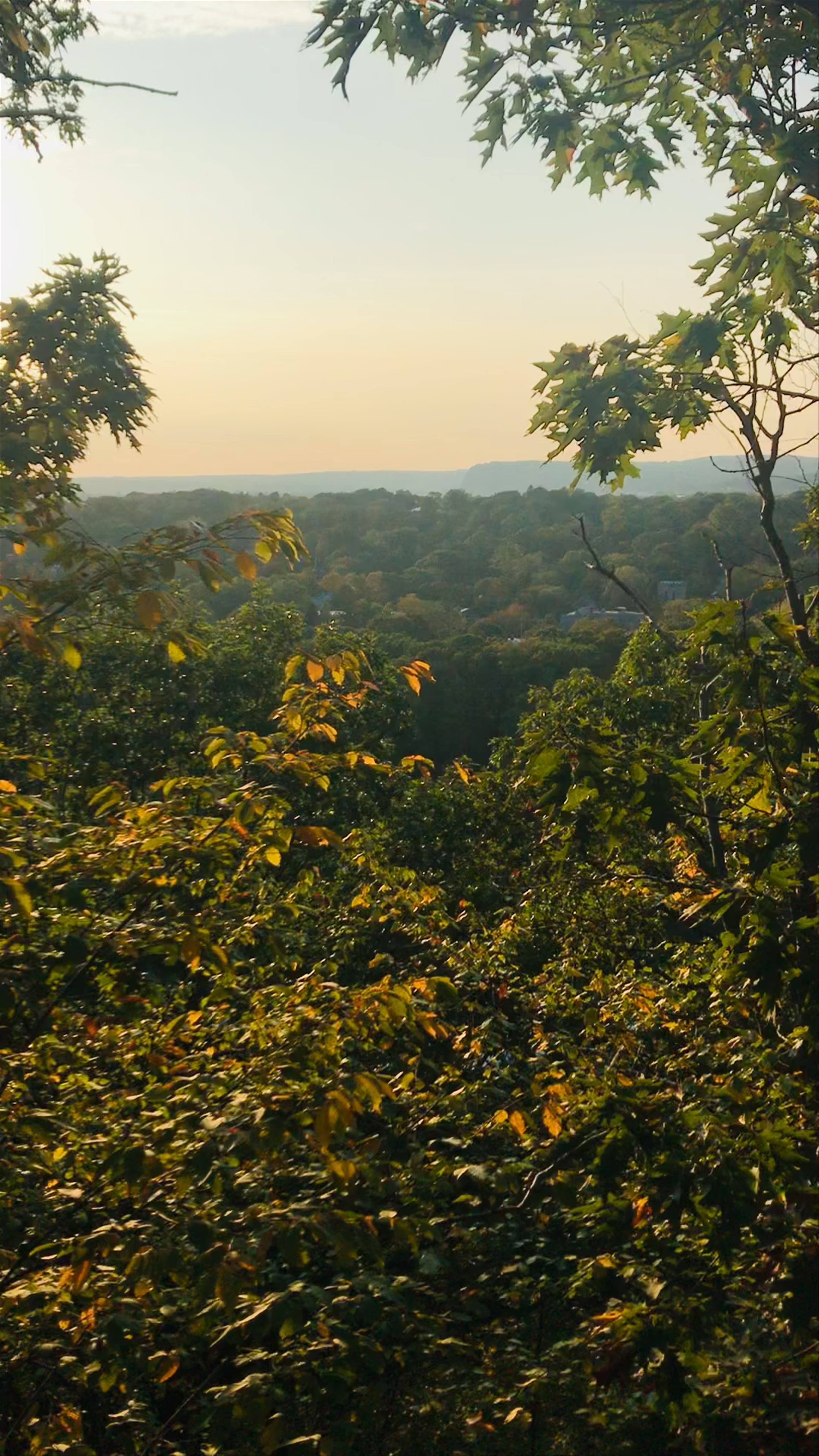 West Rock Ridge State Park