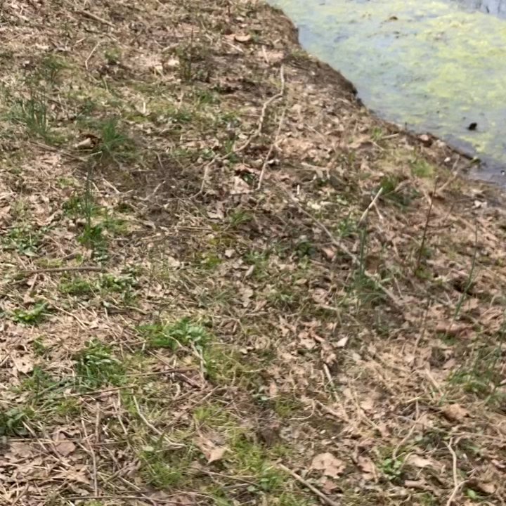 Boyce Mayview Park - Happy Earth Day - Hiking Near Me - Upper St Clair, Pennsylvania