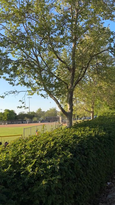 Andulka Park - Great for your furry friends! - Parks Near Me - Riverside, California