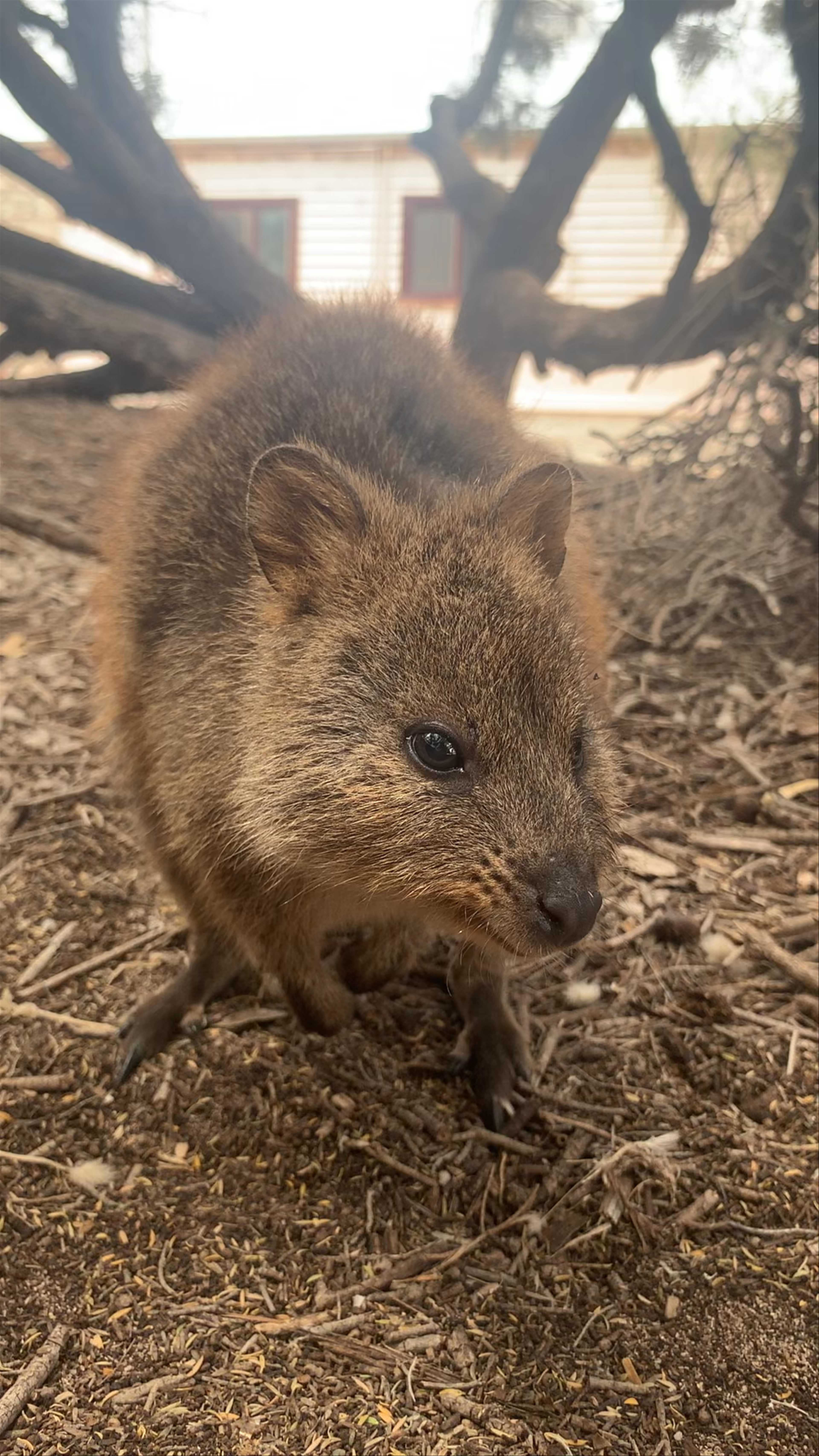Rottnest Island Visitor Centre