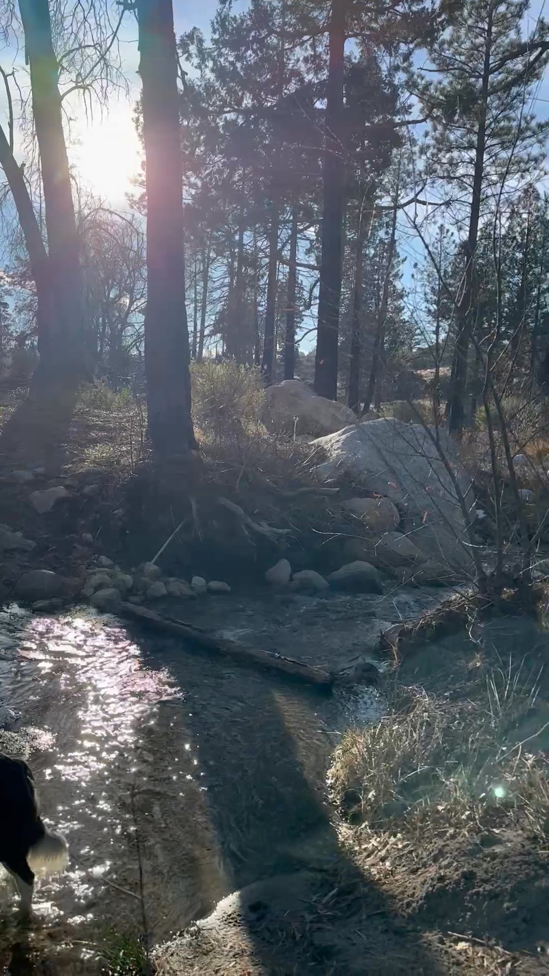 David PALM DESERT BIKE N BREWS Wood Strava Cyclist Profile