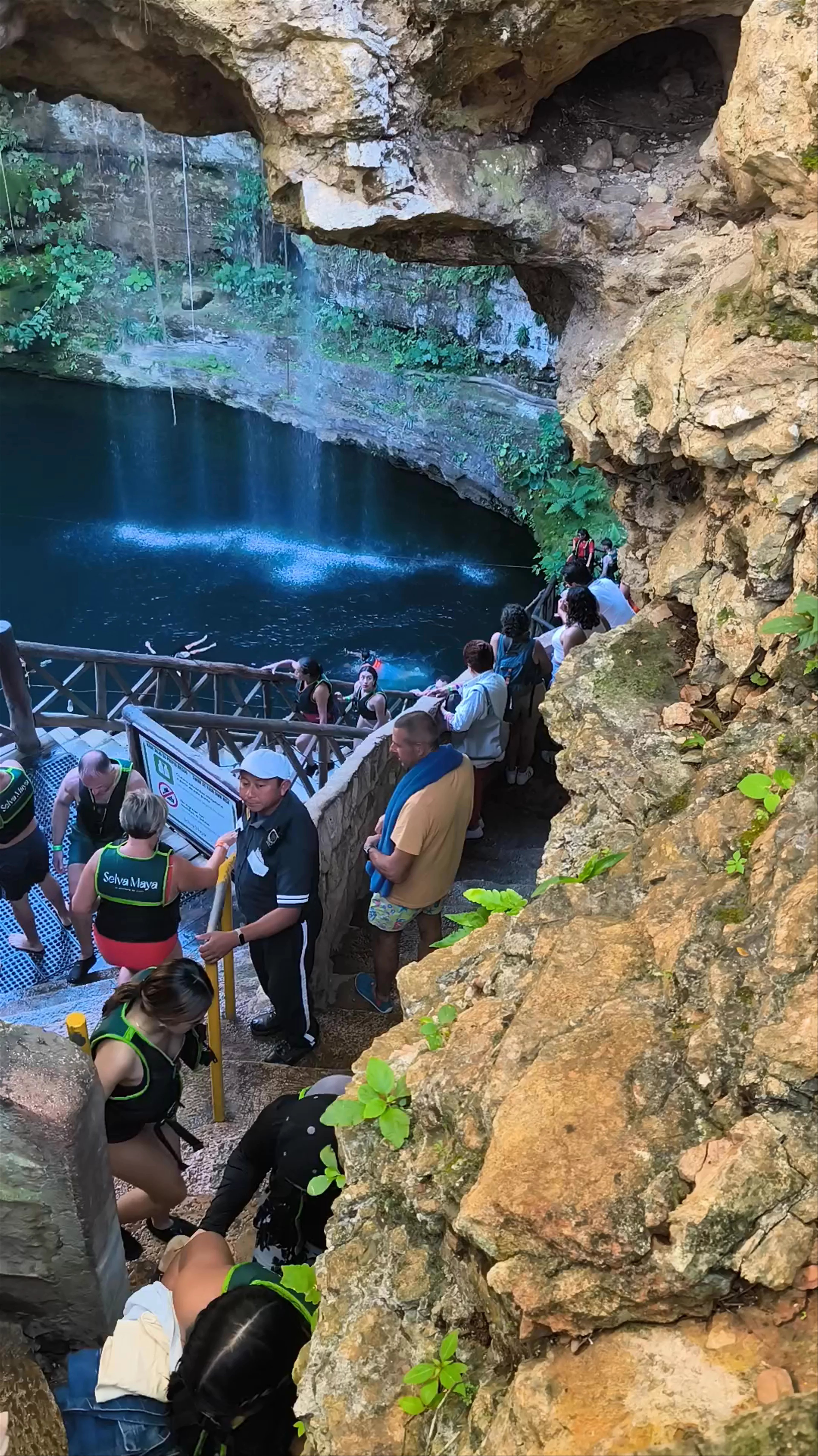 Cenote Saamal, Cenote Selva Maya