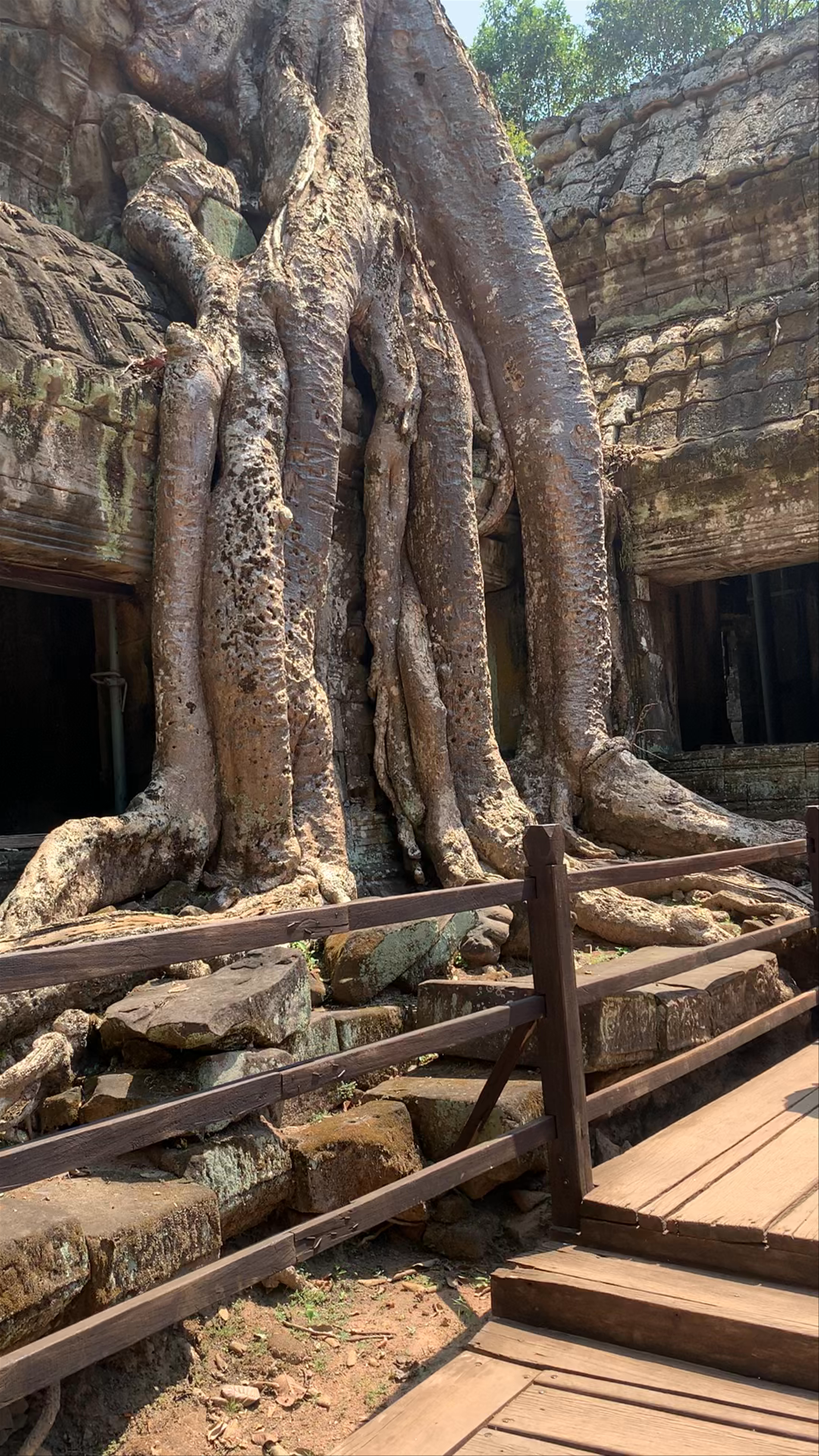 Ta Prohm Temple