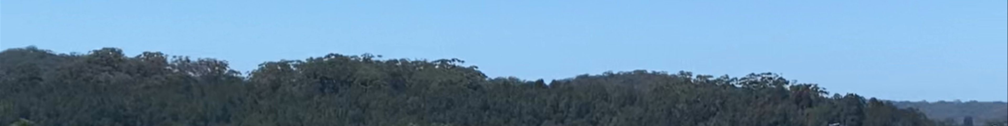 Tours & experiences in New South Wales