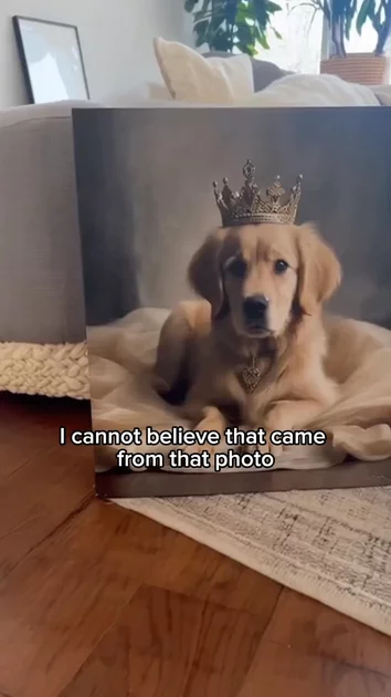 Pet Moment Royal Portrait 2 | UGC