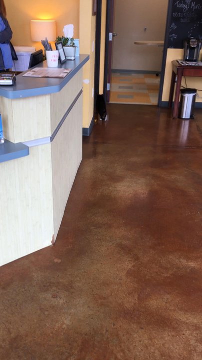 Circle C Animal Hospital - Veterinarians Near Me - Austin, Texas