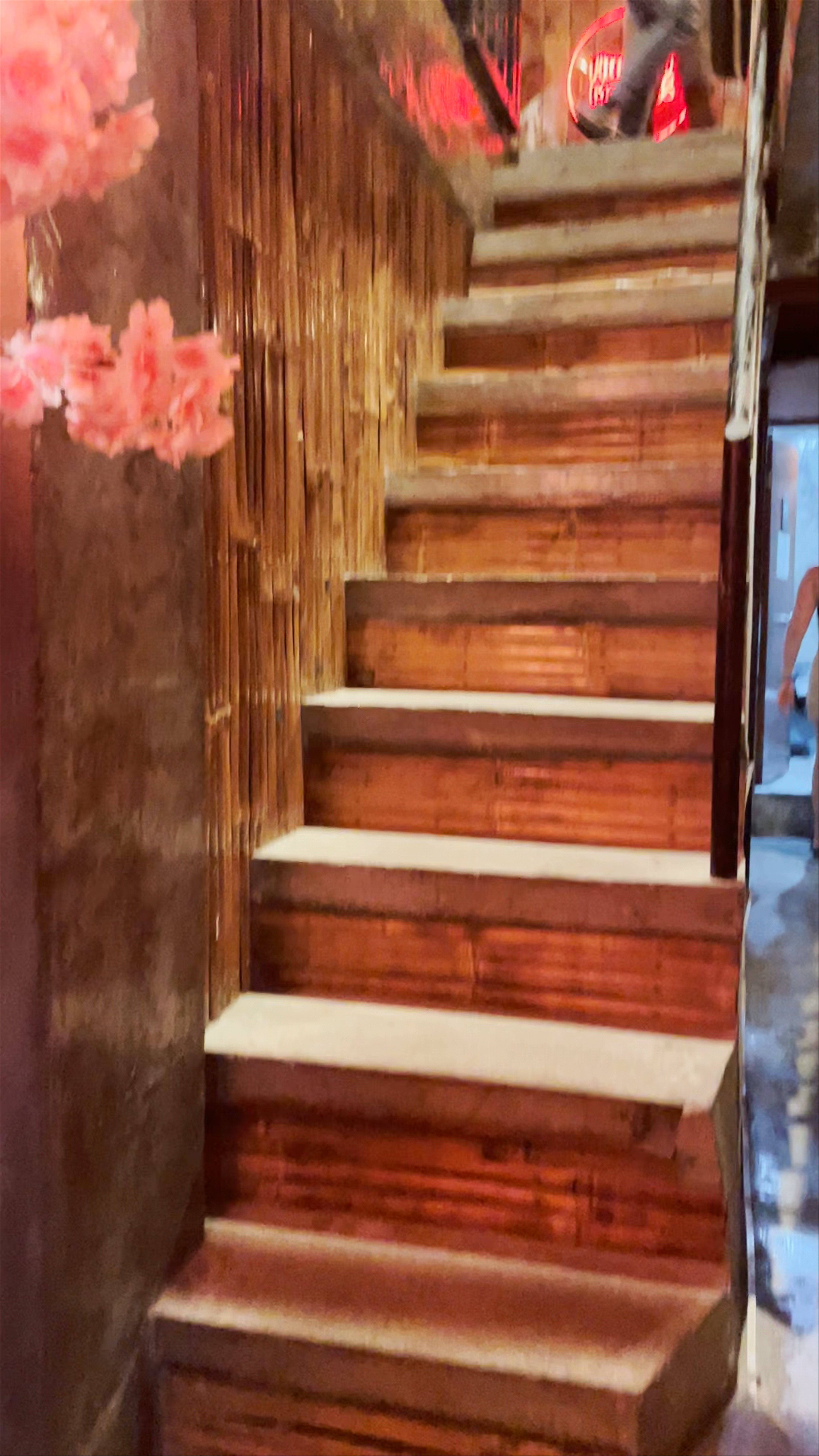 Hungry Monkeys Moalboal