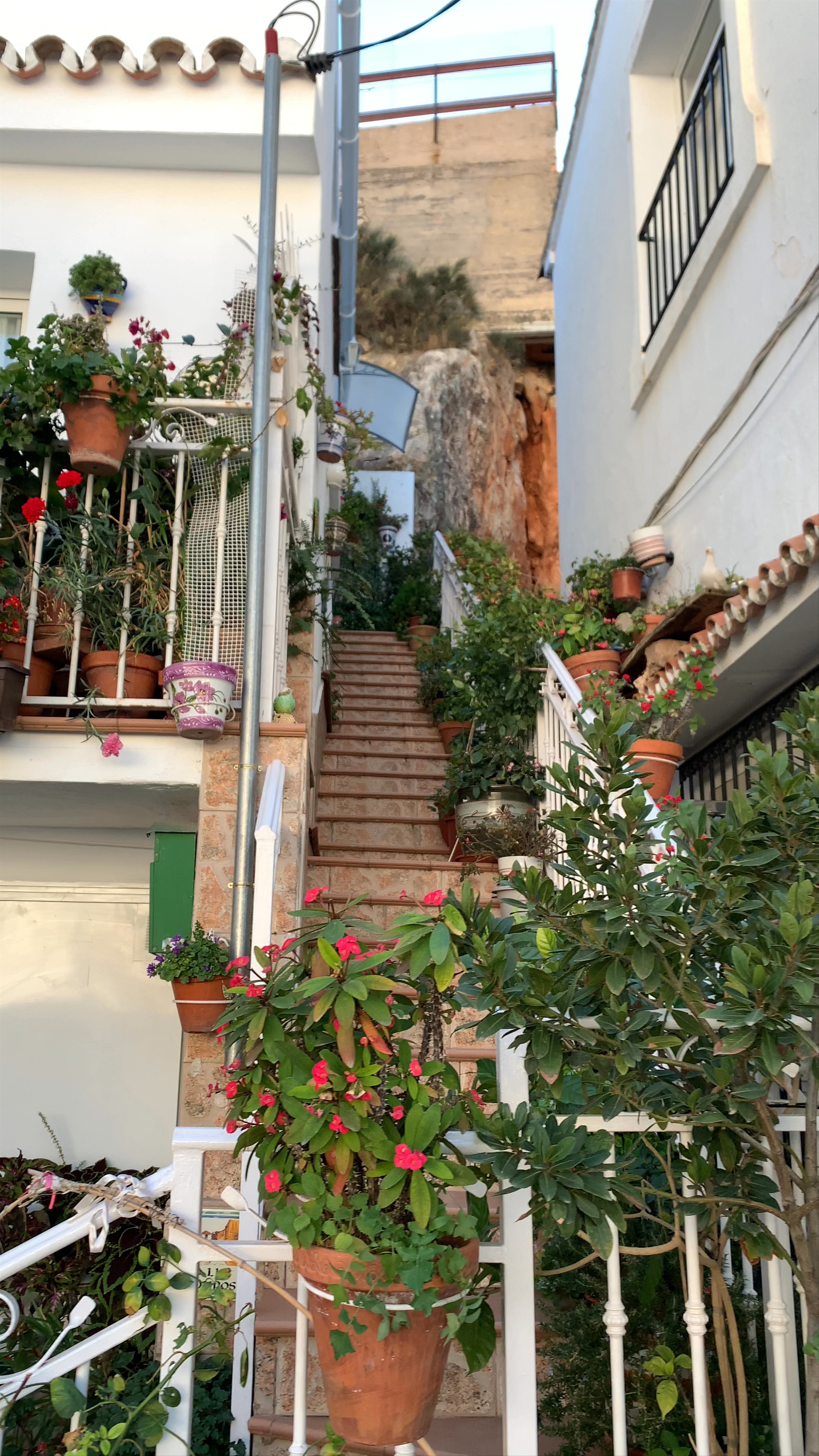Charming Calle Muros in Mijas, Spain: A Floral Mediterranean Hideaway