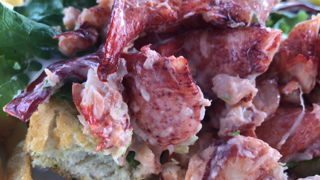 Skipper Chowder House - Lobster roll is insanely huge! - Seafood Near Me - South Yarmouth, Massachusetts