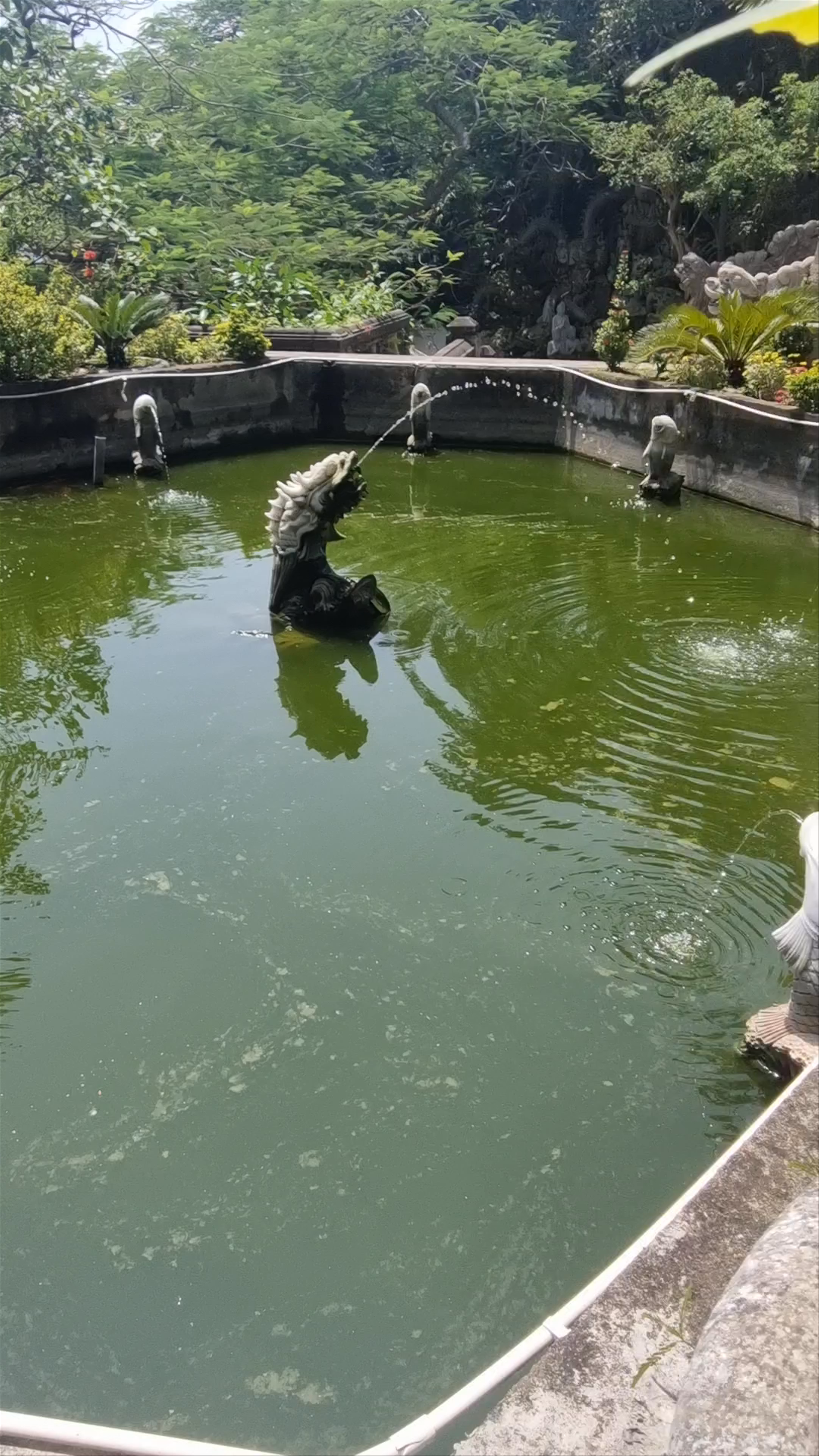 Serene Moments at Budha Tượng Phật Thích Ca in Da Nang, Vietnam