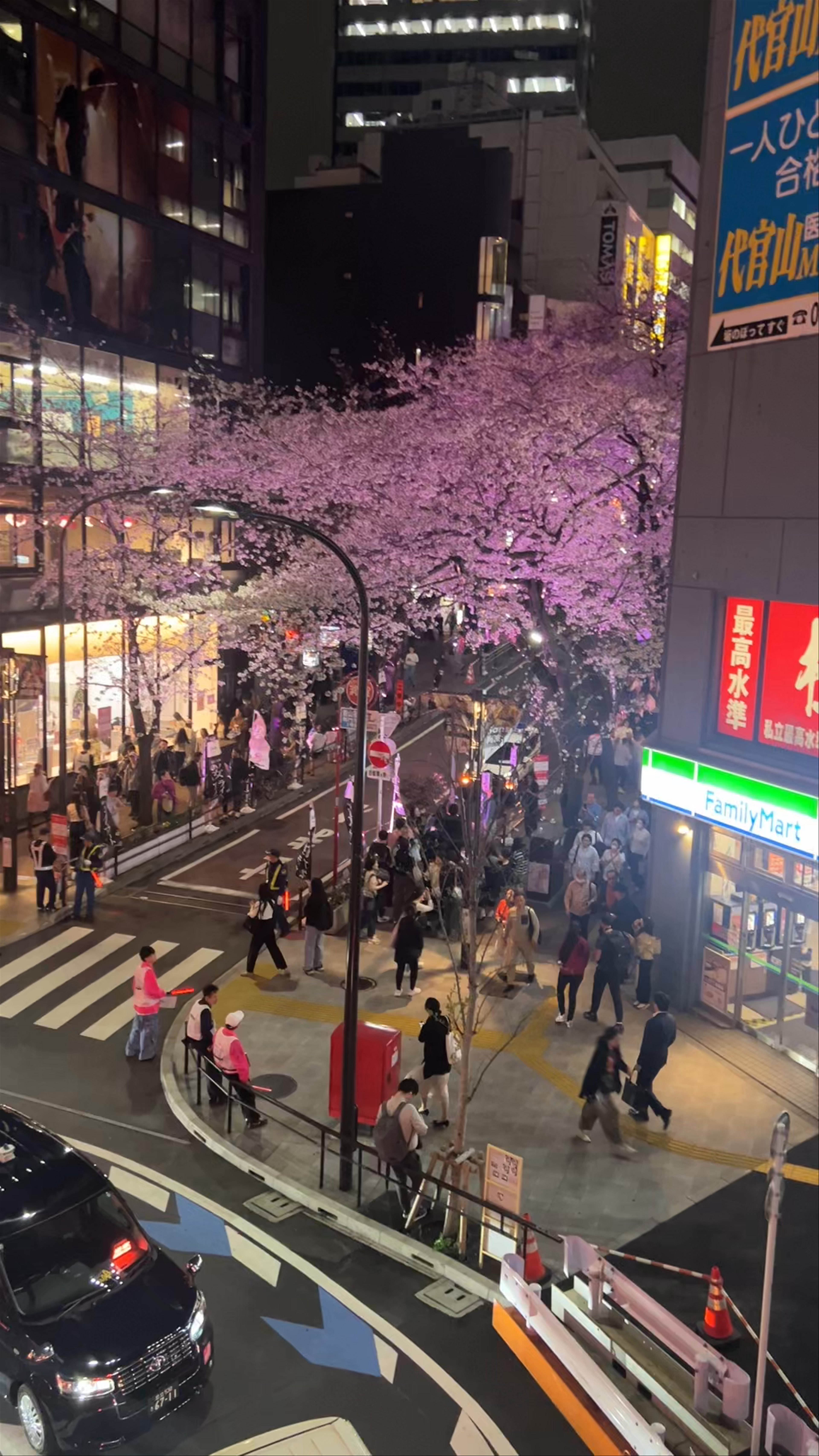 Shibuya Sakura Stage at Night: Urban Spring Blossom Festival in Tokyo