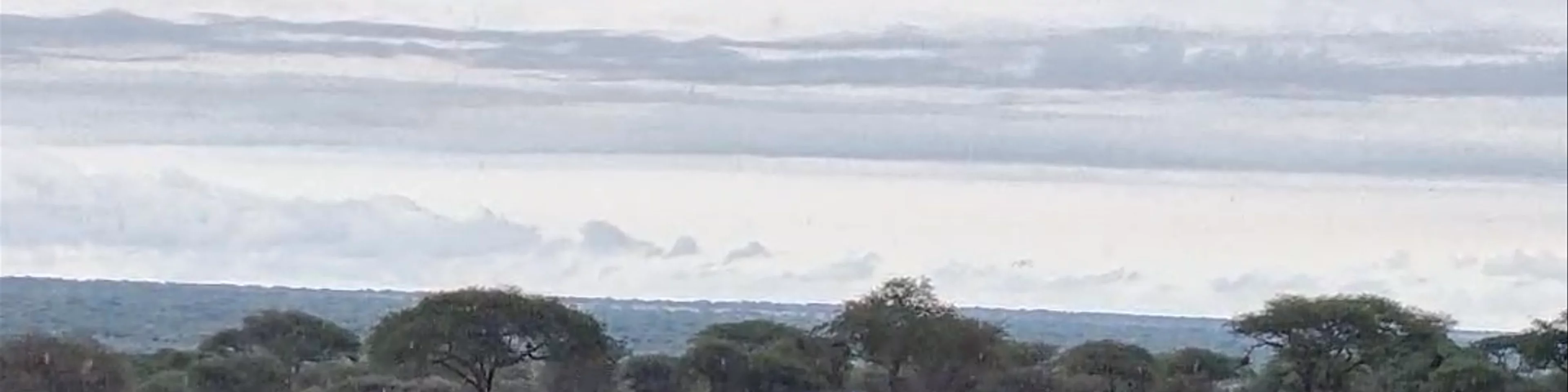 Daketi Safari