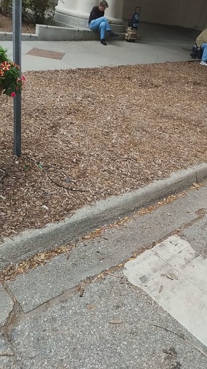 Starbucks - Coffee & Tea Near Me - Sarasota, Florida