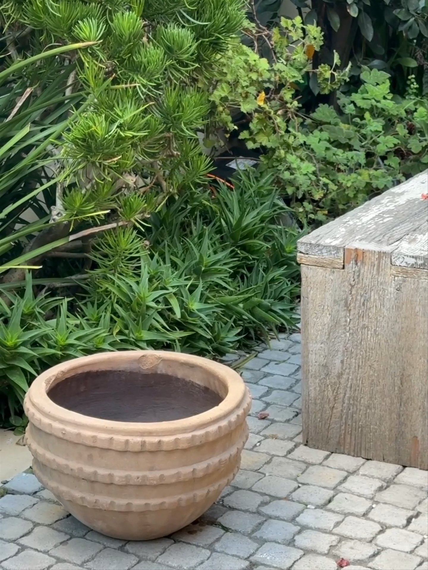 Ridged Terracotta planter