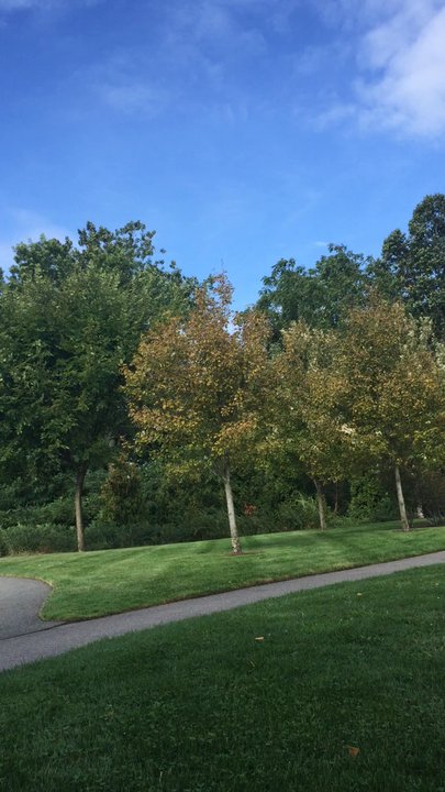 Fresh Pond - Parks Near Me - Cambridge, Massachusetts
