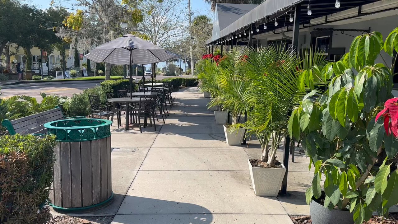 Olive Branch - Bars Near Me - Mount Dora, Florida