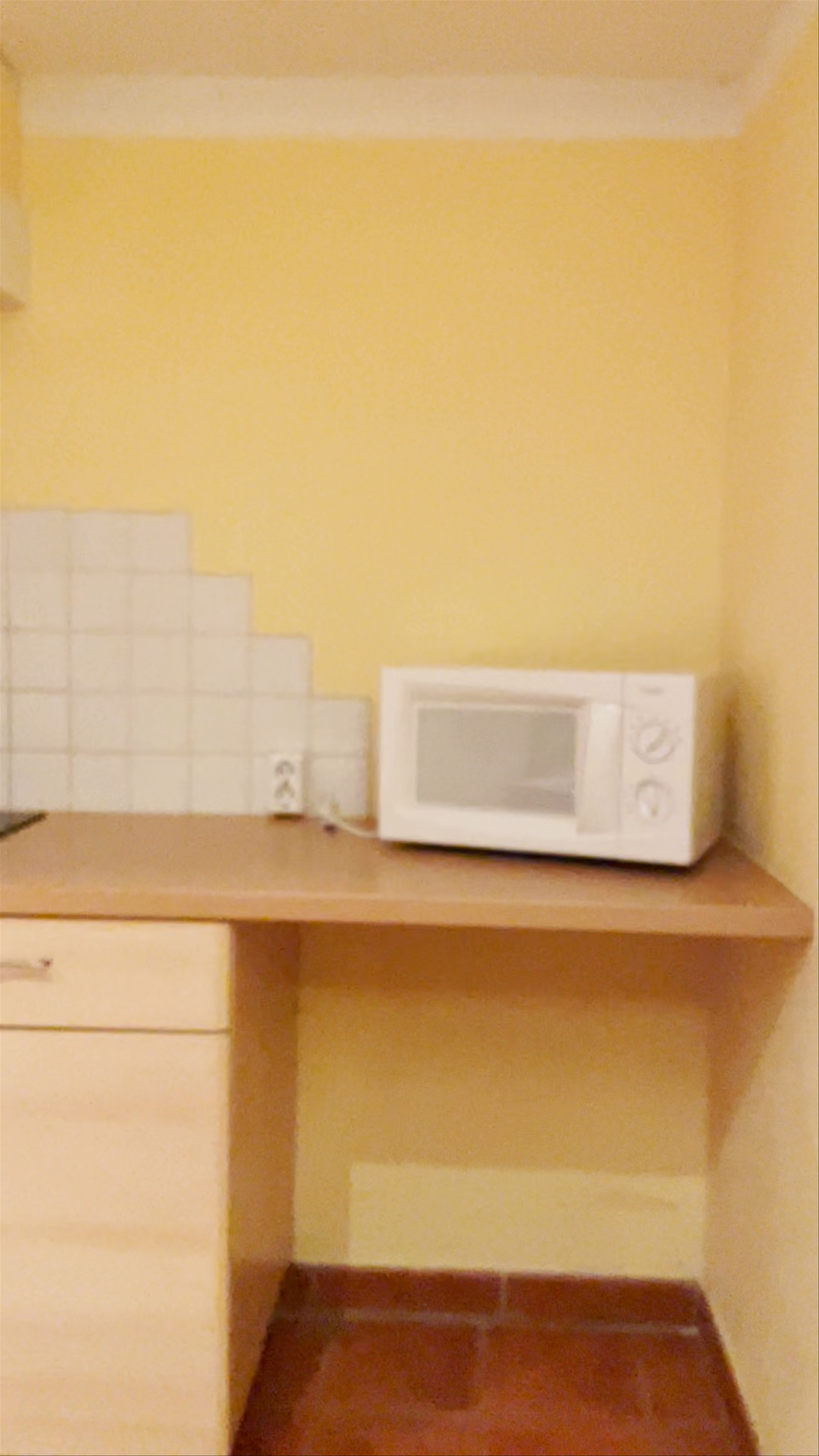 Paradies-Camping Wolfgangsee Birkenstrand