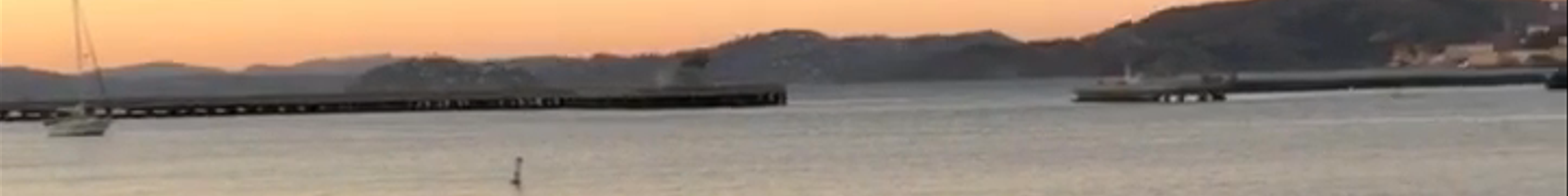 Tours & experiences in San Francisco