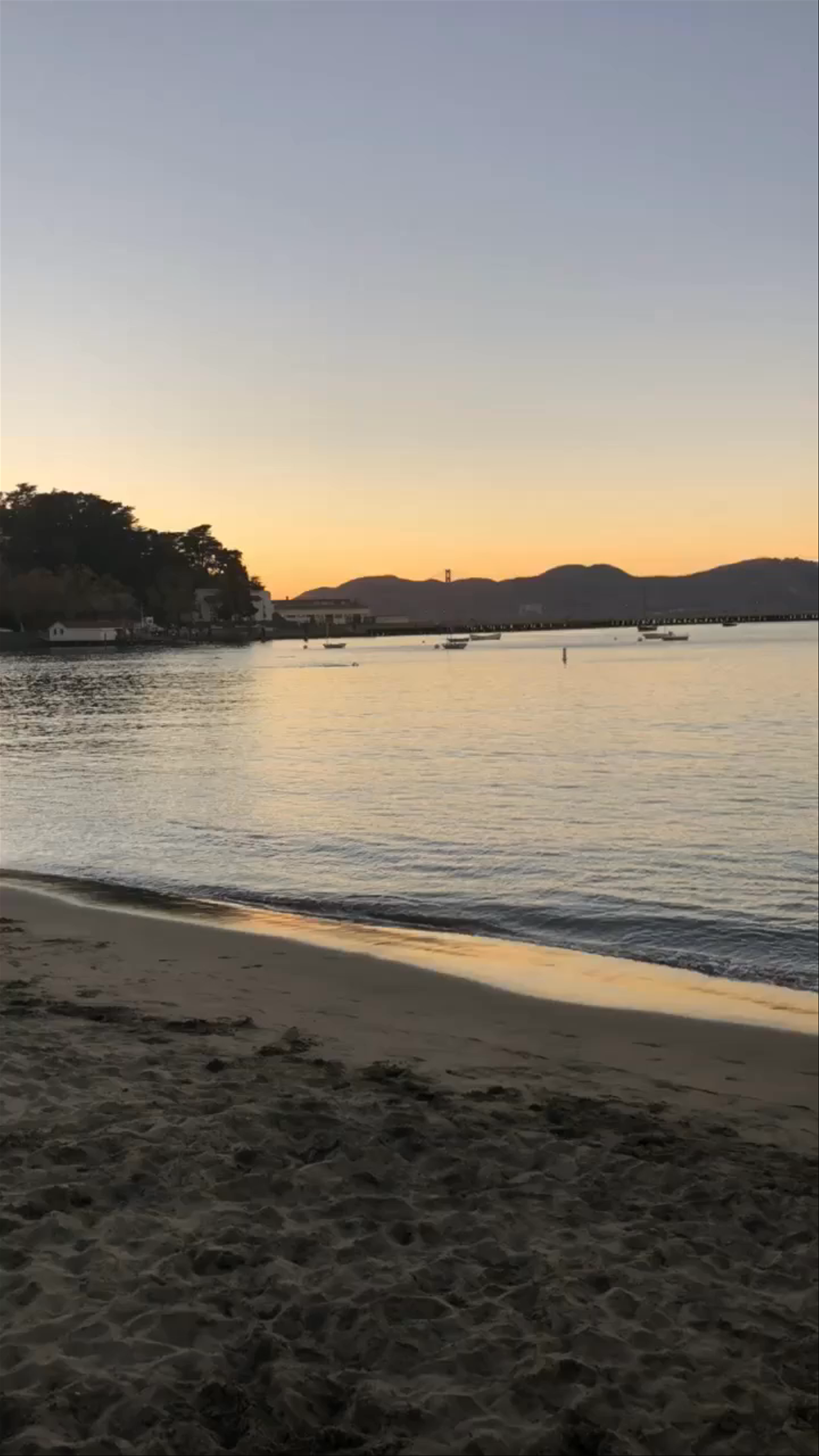 Aquatic Cove