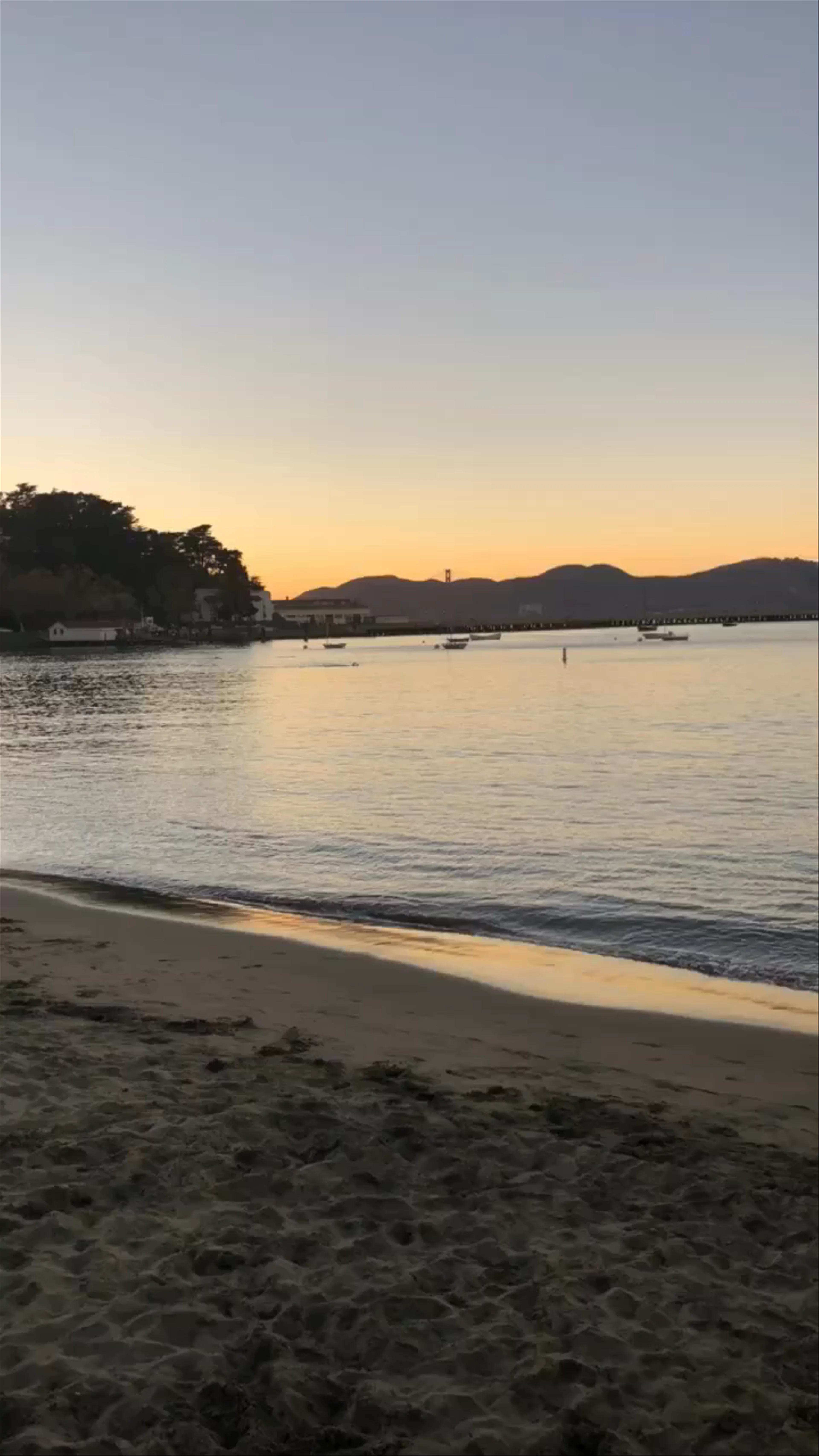 Aquatic Cove