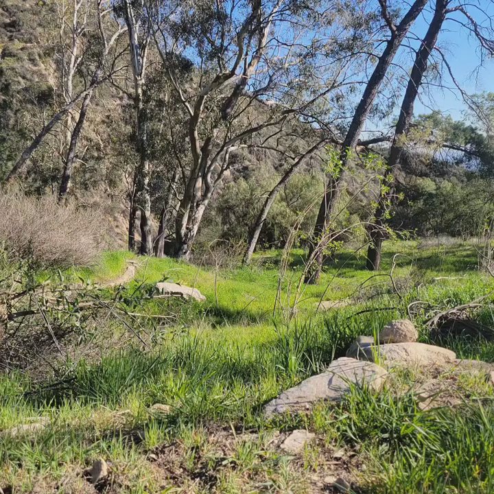 Cobb Estate - Landmarks & Historical Buildings Near Me - Altadena, California