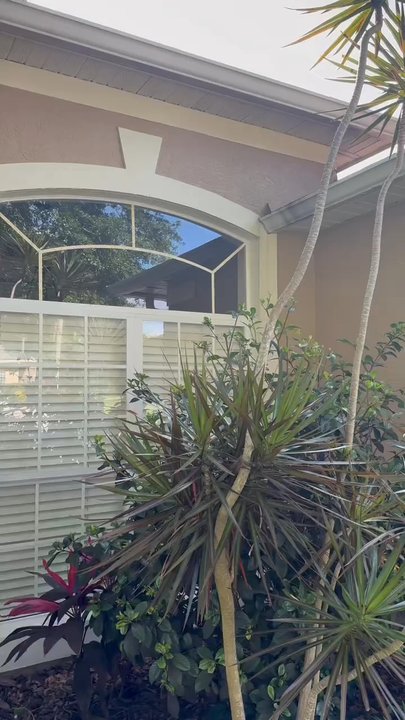 No more pane window cleaning - Window Washing Near Me - Winter Park, Florida