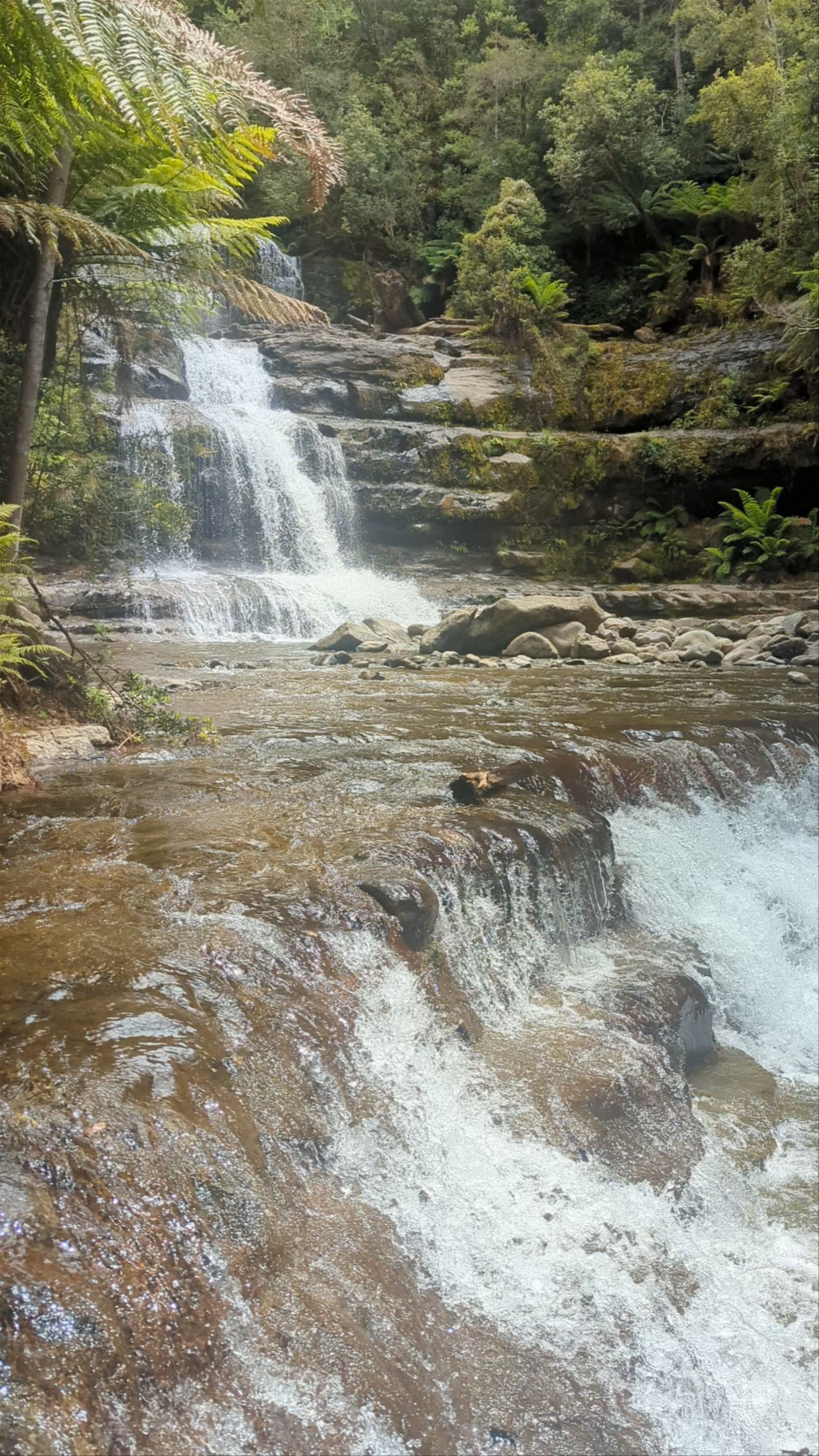 Liffey Falls