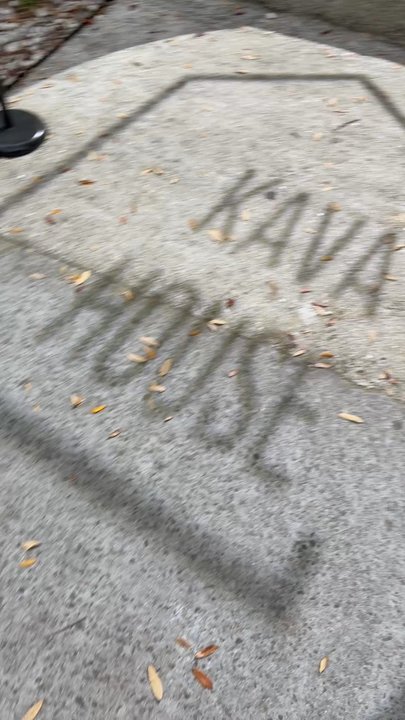 Kava House - Coffee & Tea Near Me - Savannah, Georgia