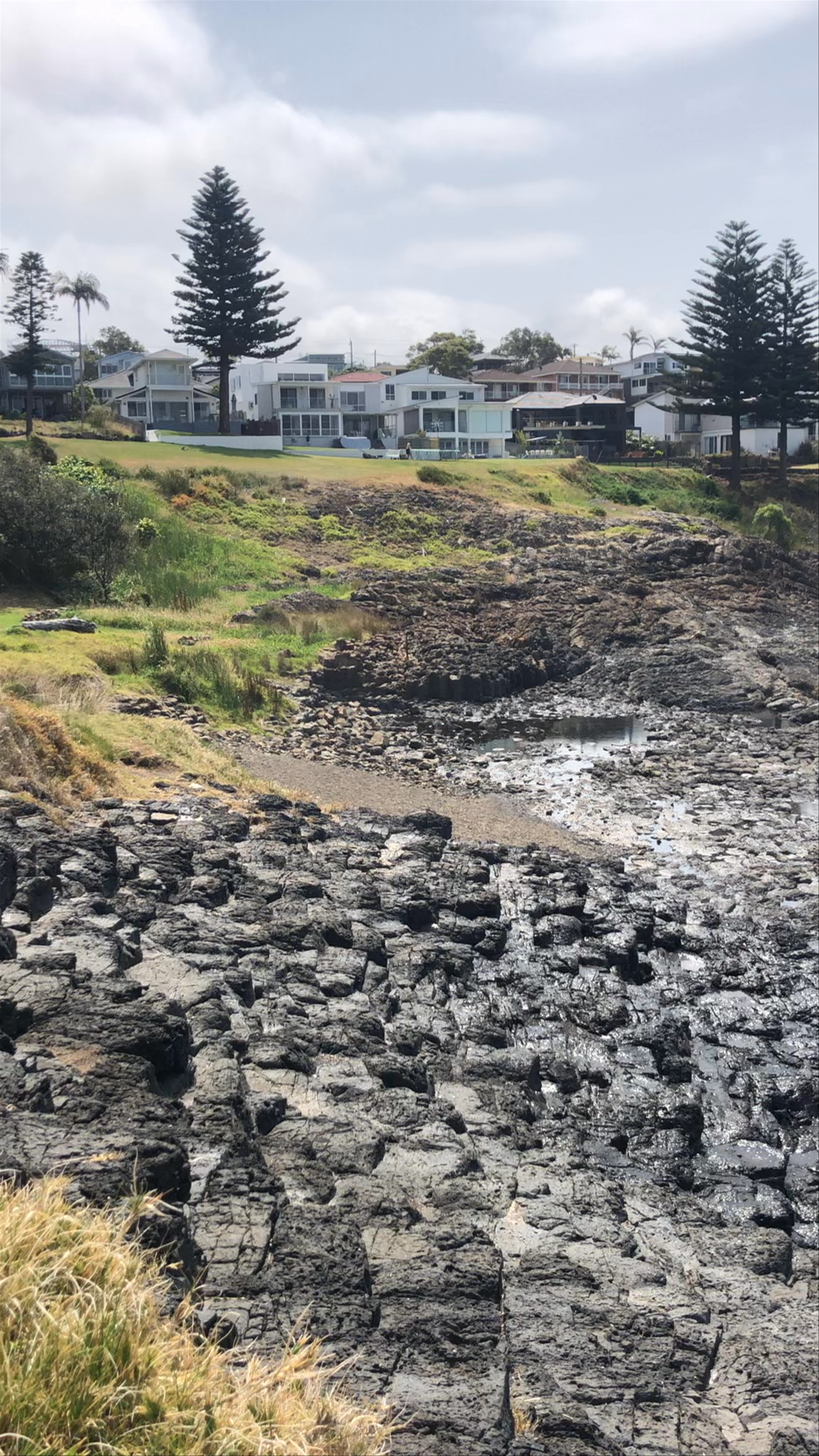 Little Blowhole