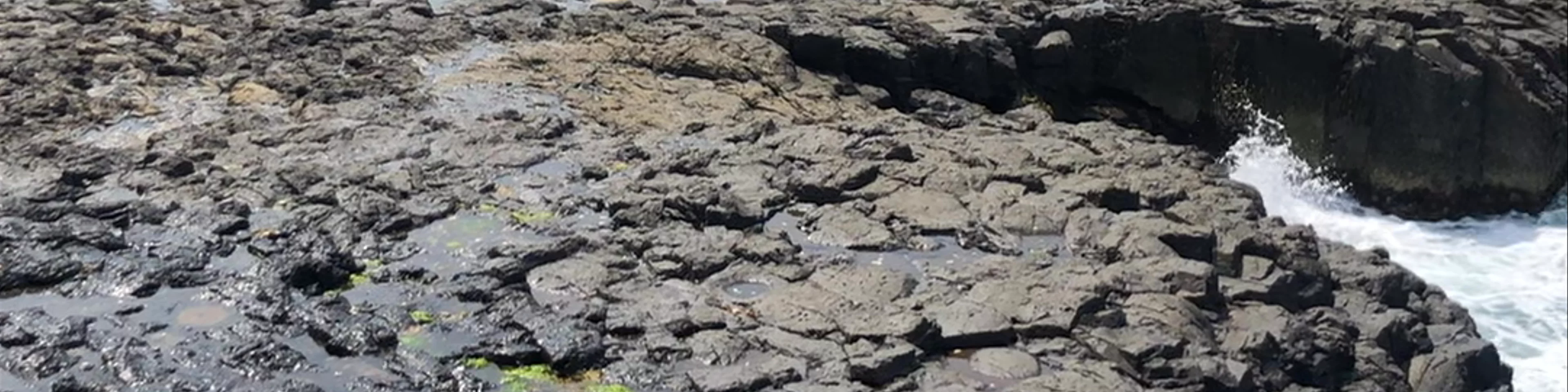 Little Blowhole