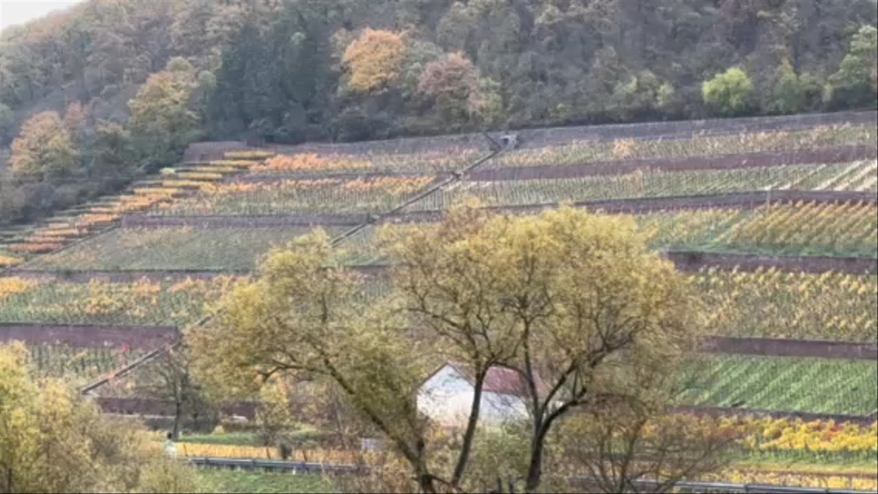 Miltenberg - Vineyard views from the balcony. - Local Flavor Near Me