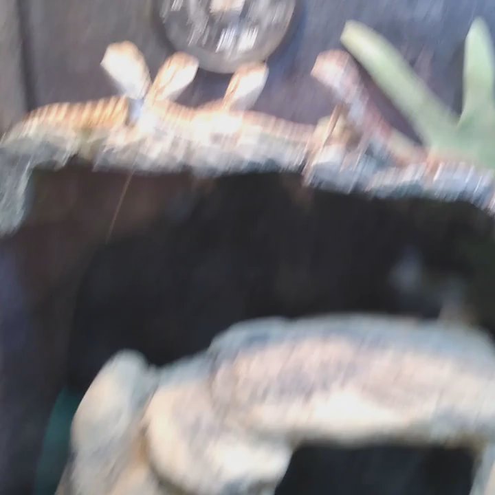 Video thumbnail 3 more videos