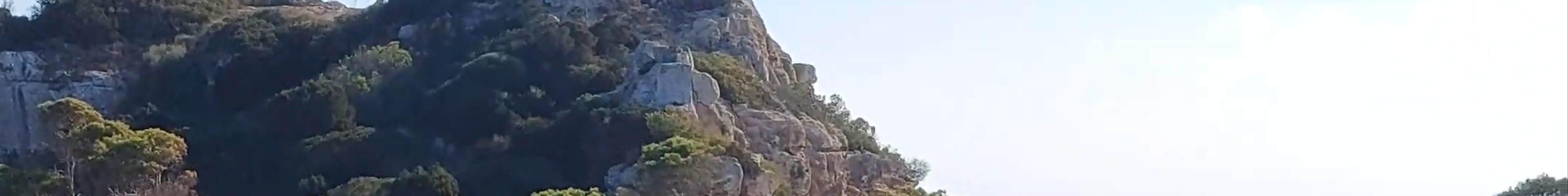 Tours & experiences in Santanyí