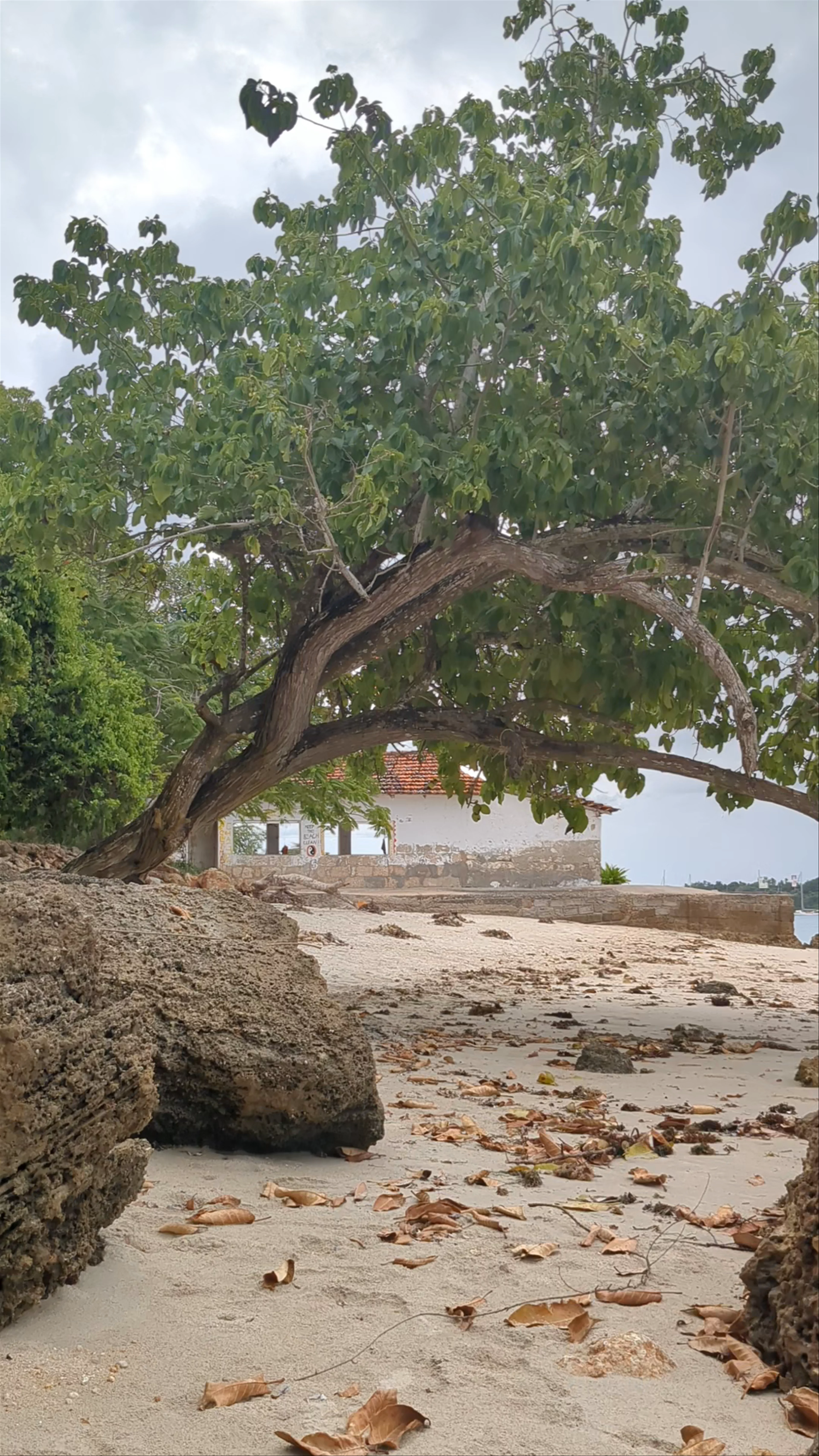 Red House Beach