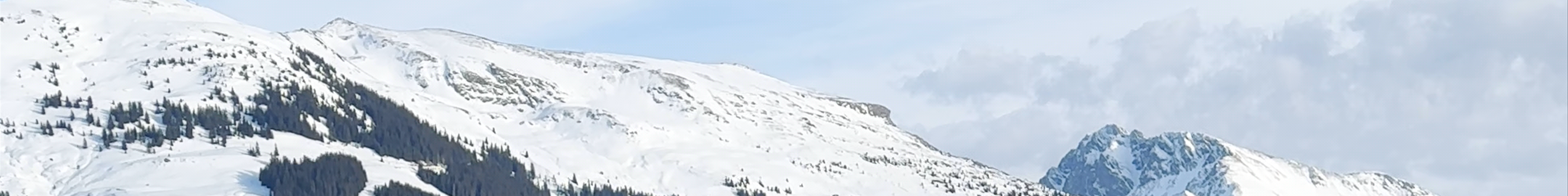 Tours & experiences in Kitzbühel