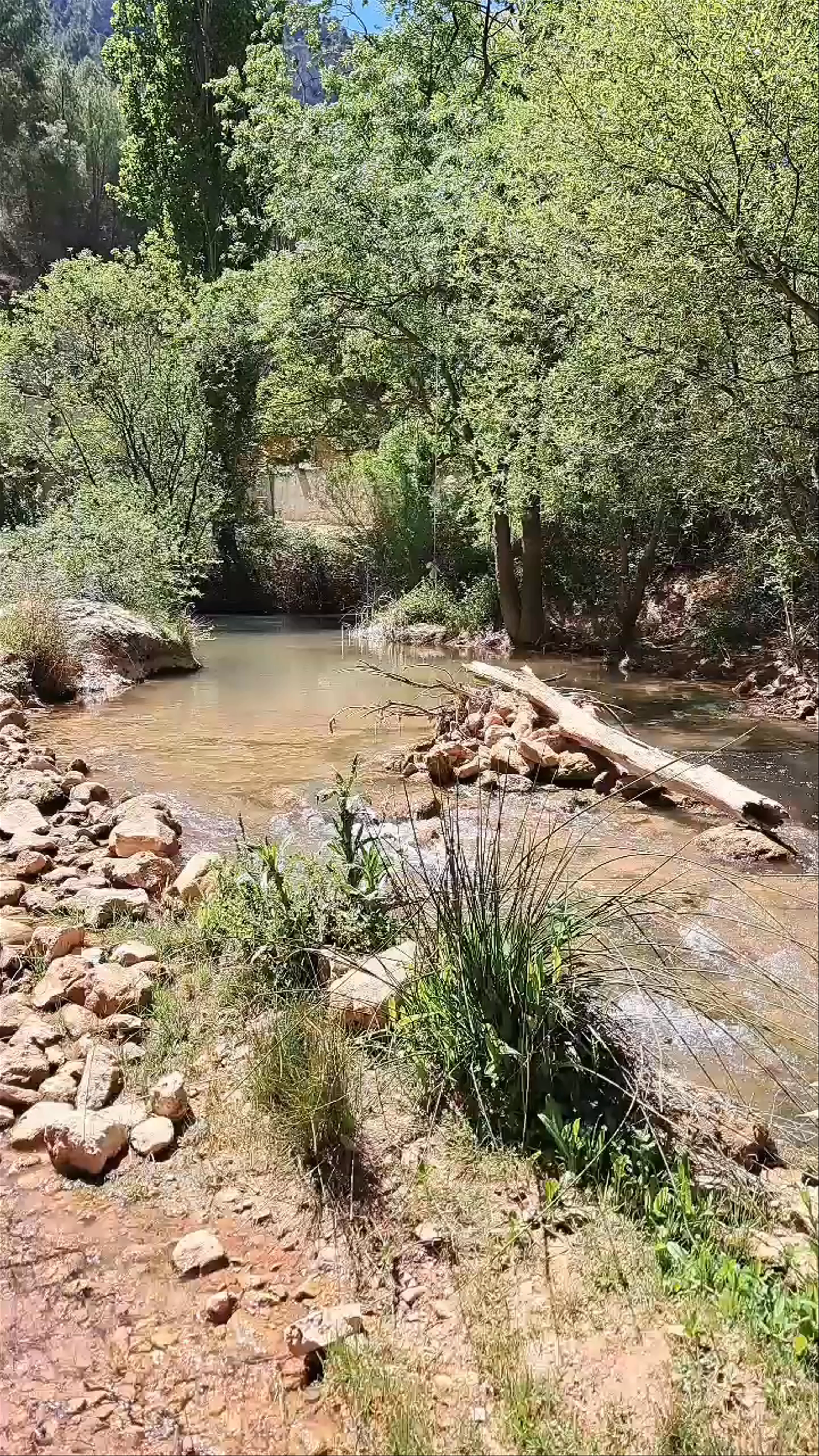 Ruta de las esculturas