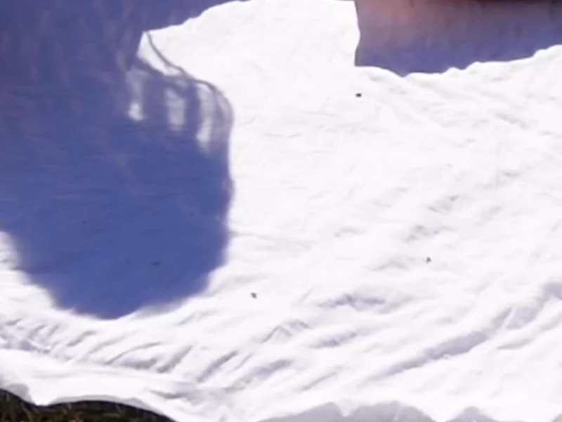 Silk Pillowcase