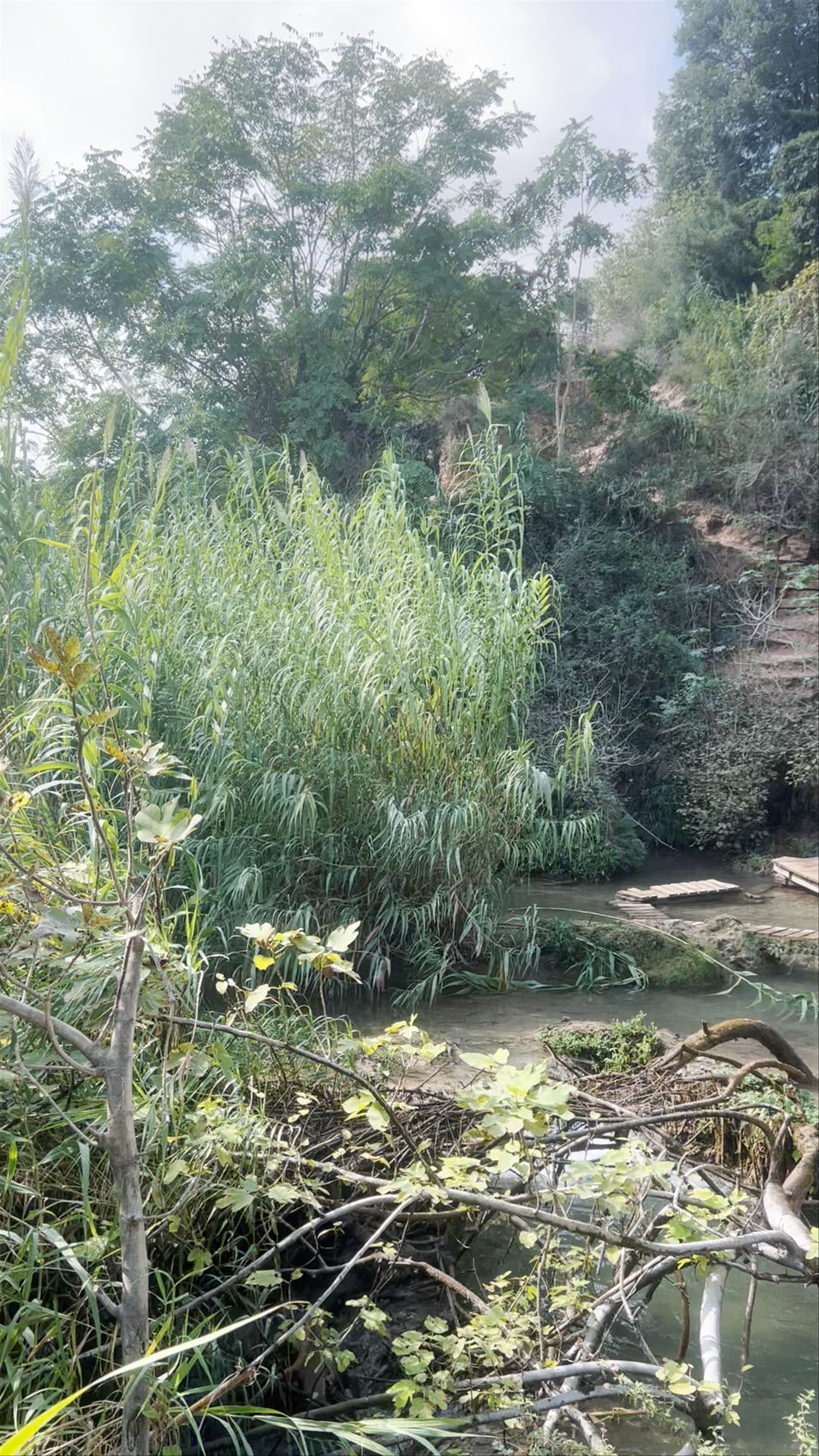Cascada de los Vikingos