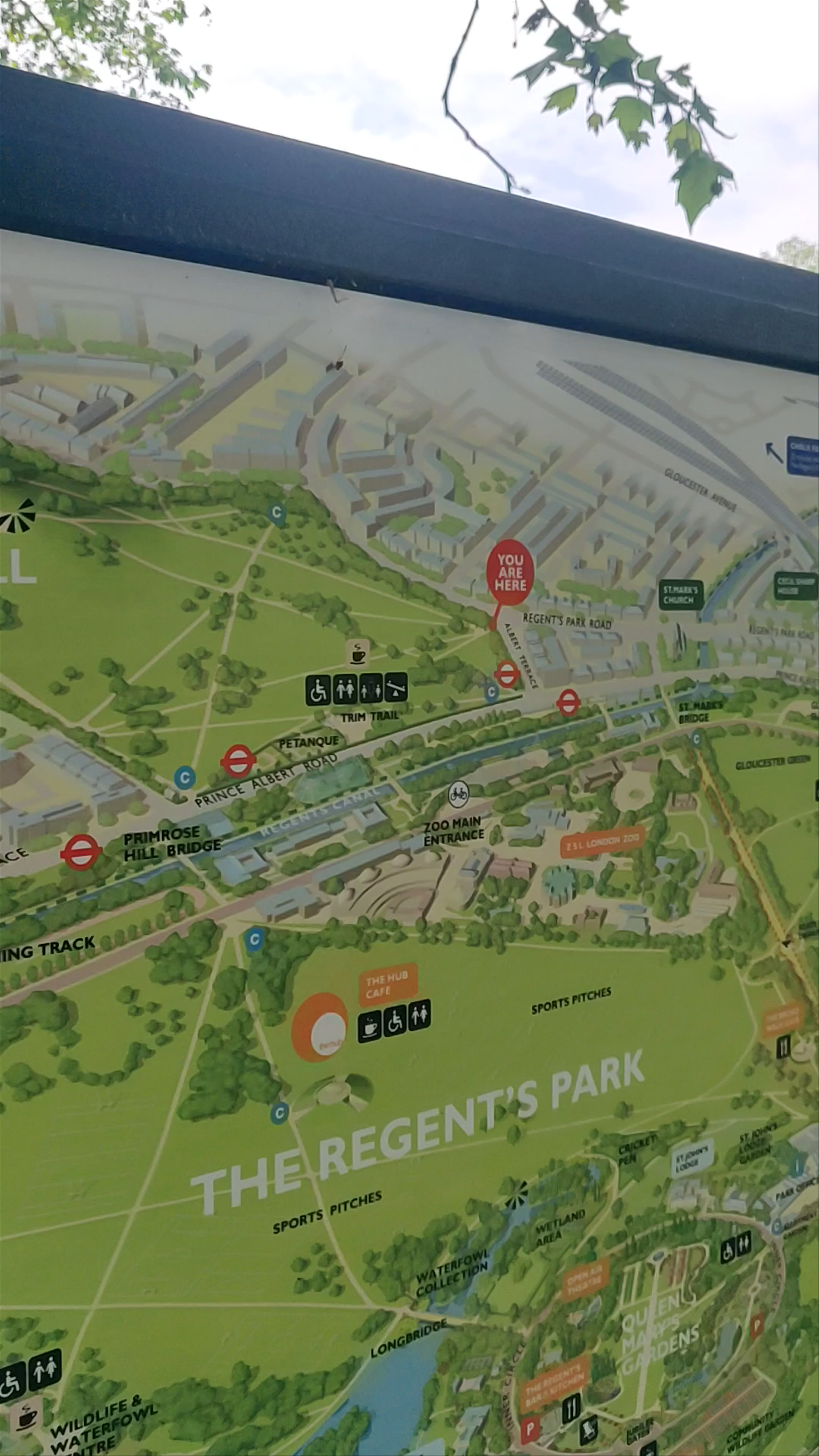 Primrose Hill