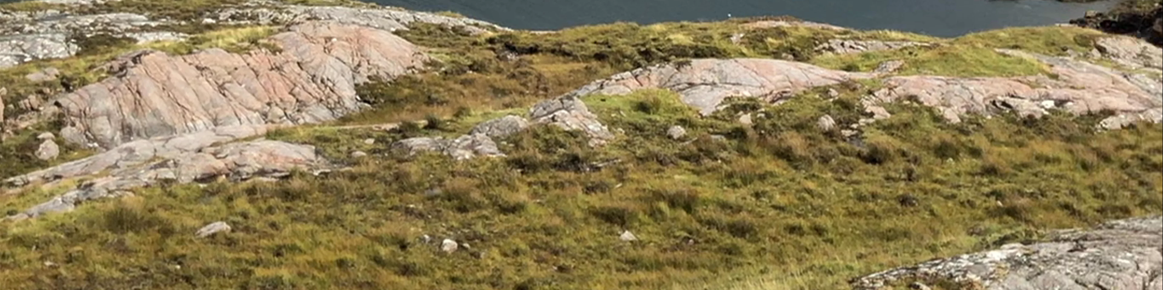 Ardheslaig