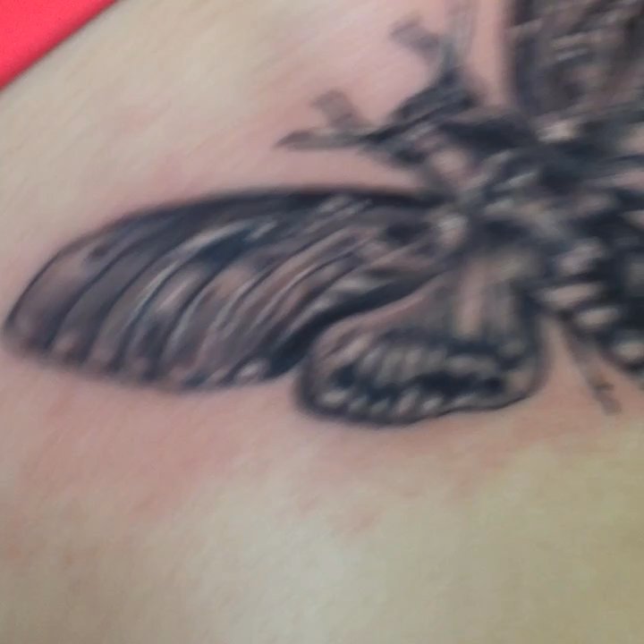 Blindside Tattoo & Piercing - Freshly done moth by Glaxta on my friend kellifer! So dope! - Tattoo Near Me - Austin, Texas