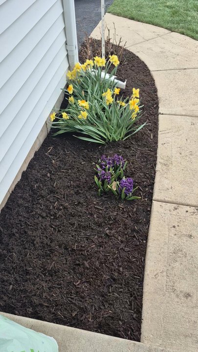 Ortiz Landscaping - Landscaping Near Me