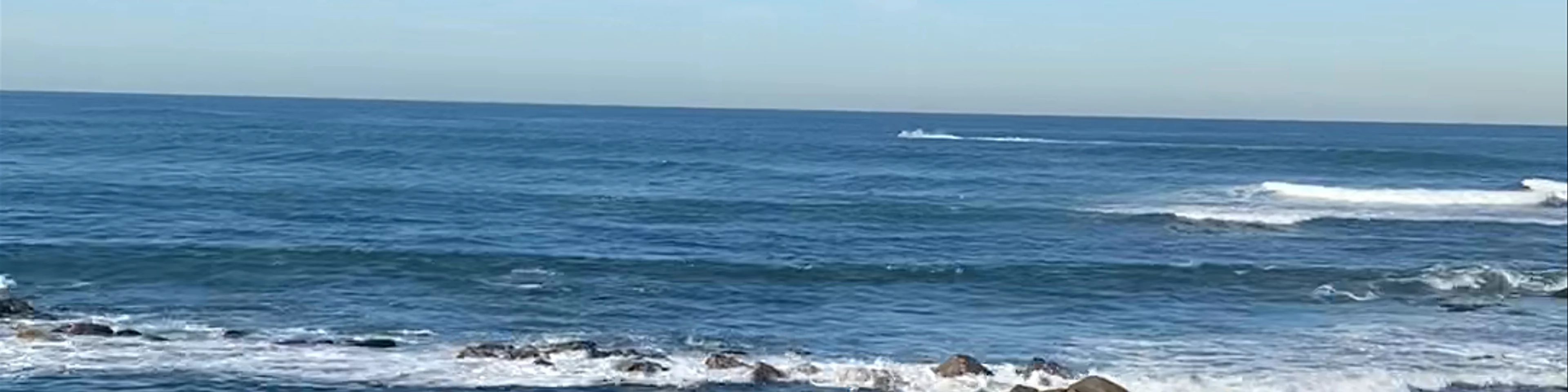 Nobbys Beach