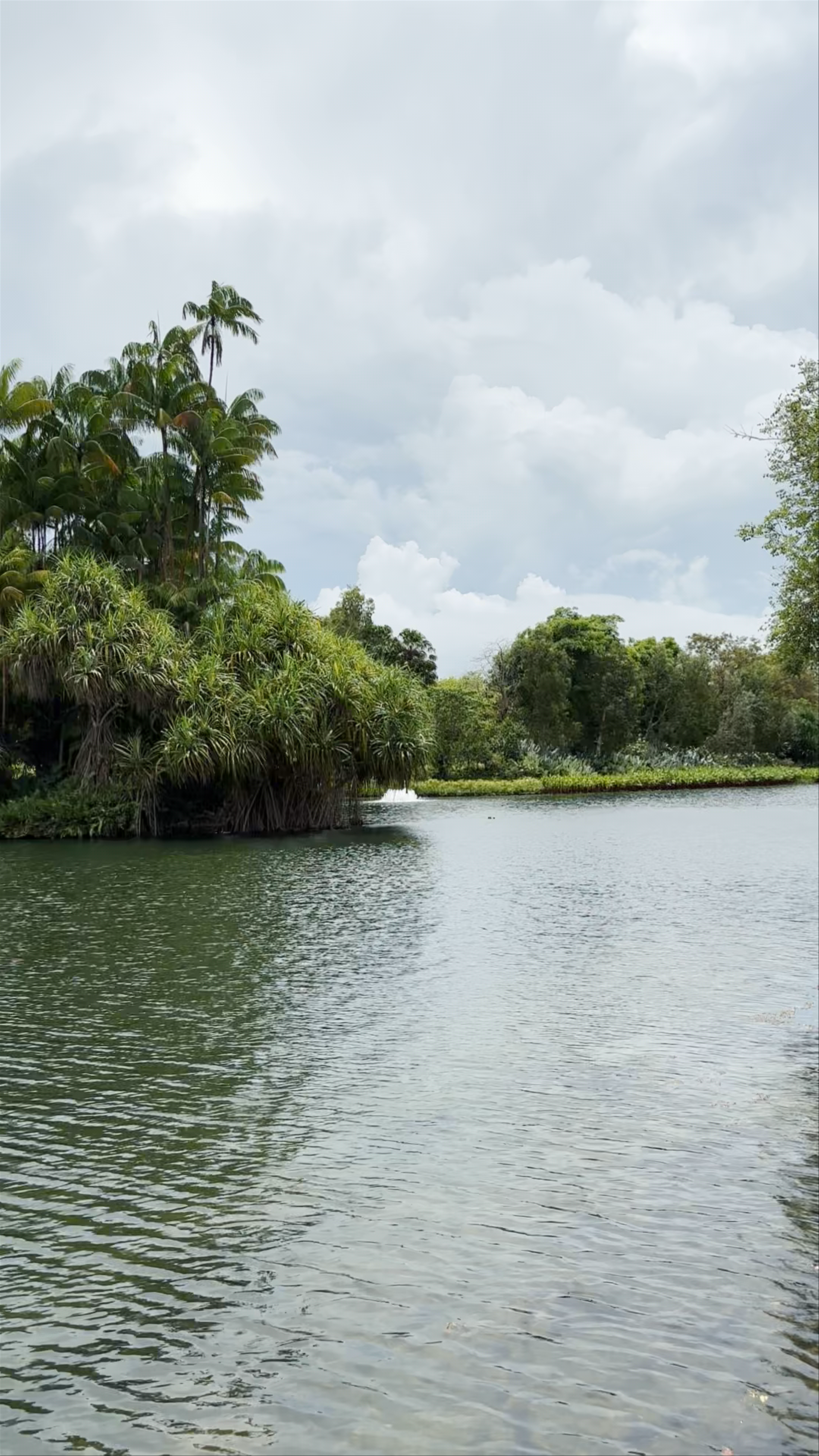 Dragonfly Lake Bridge