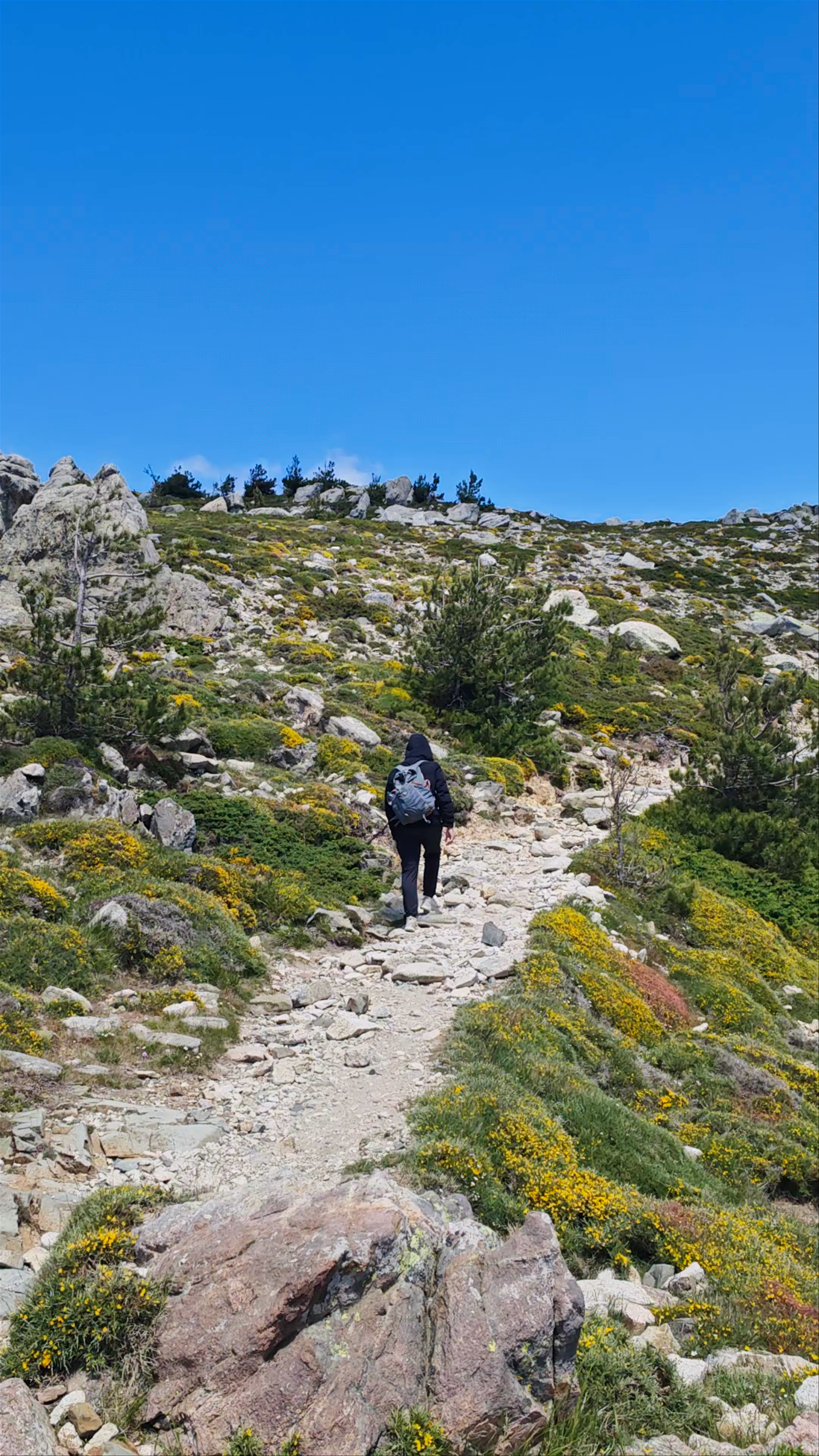 Aiguilles de Bavella - Forchi di Bavedda