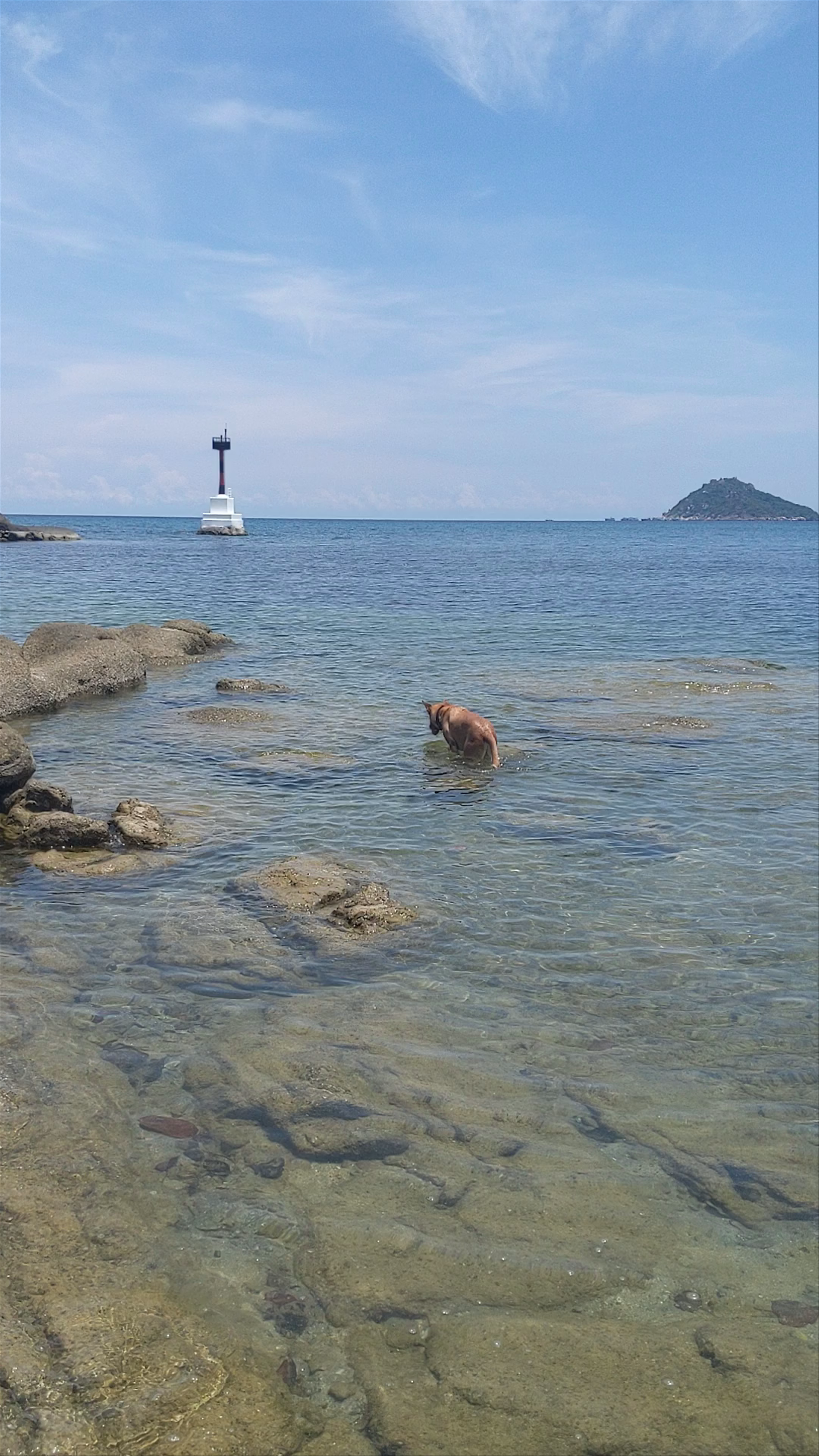 Serene Coastal Escape at Koh Tao, Thailand