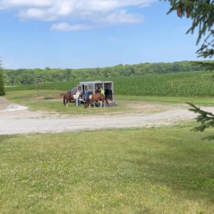 Bluhm County Park - Horse trails - Parks Near Me - Westville, Indiana